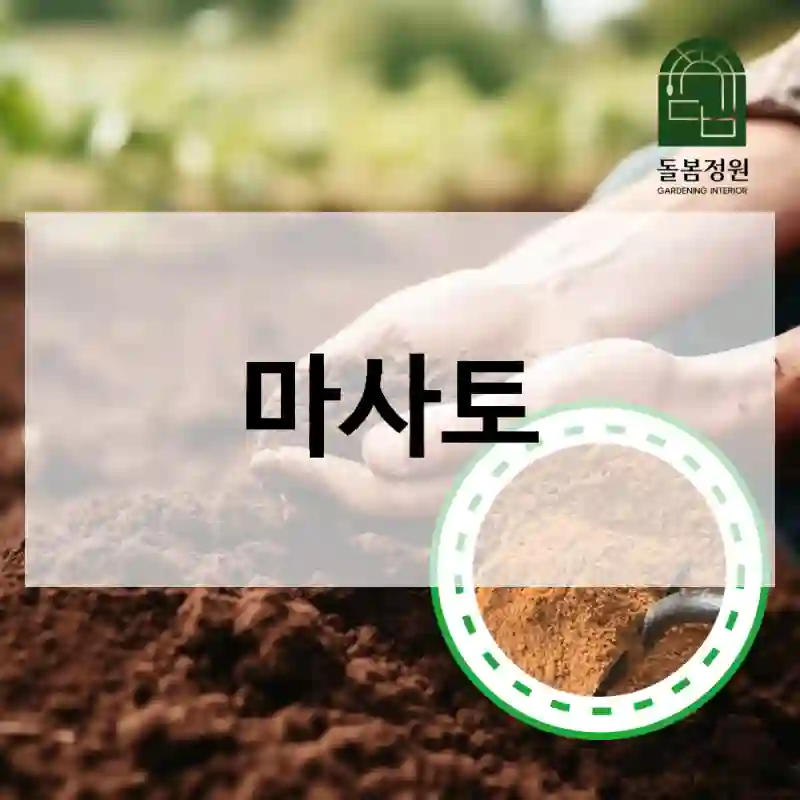 마사토