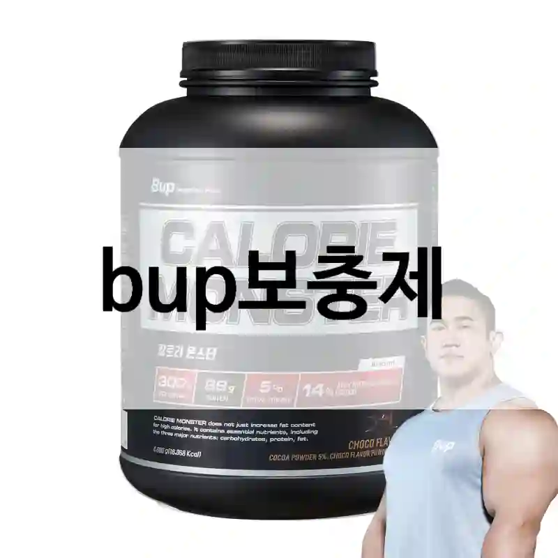 리뷰 많은 bup보충제, 진짜 어땠을까?