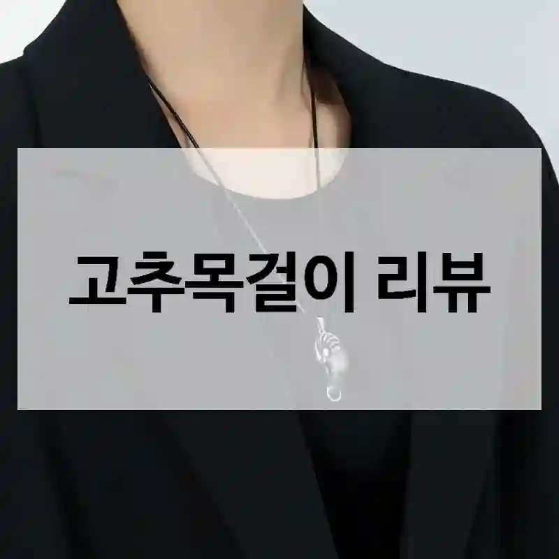 왜! 진작 안 썼을까? 싶은 “고추목걸이” 구매 후기