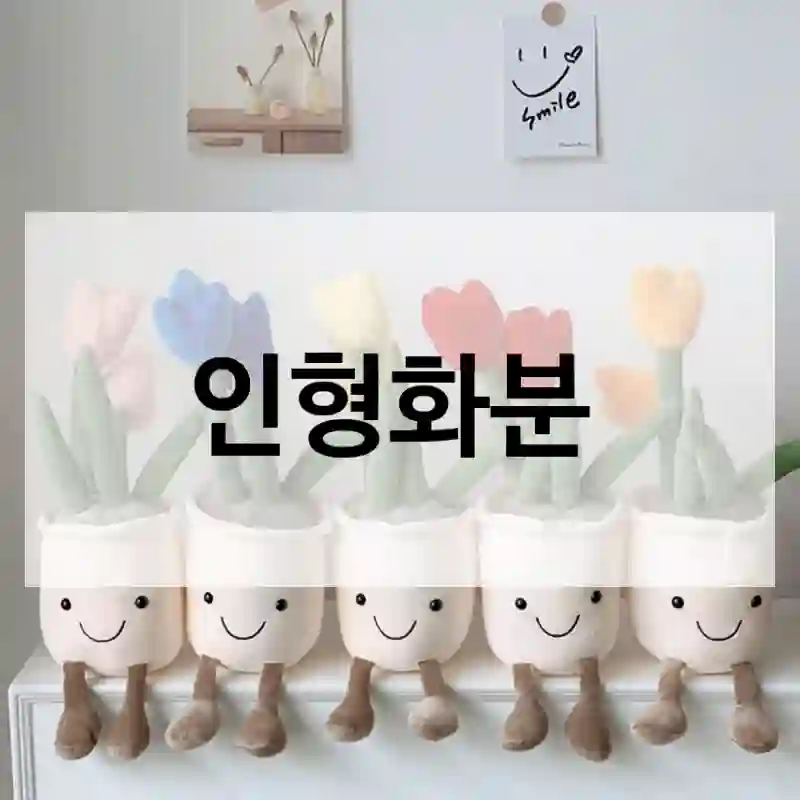 인형화분 체험 리뷰 – 솔직히 어떤가요?