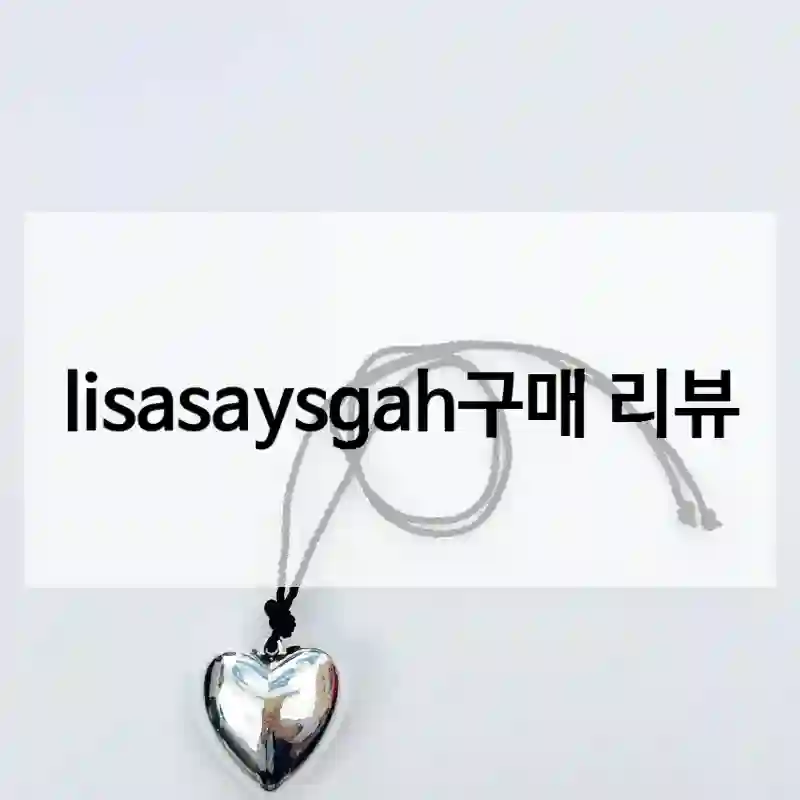 최종 선택한 lisasaysgah 리뷰