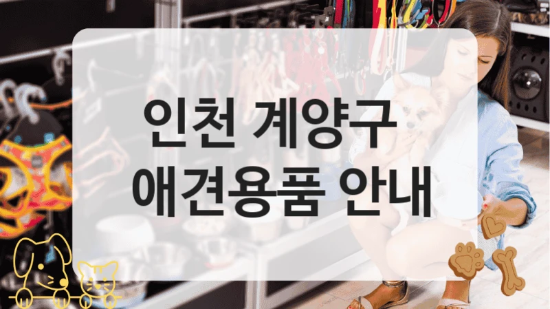 인천 계양구 
 애견용품 안내