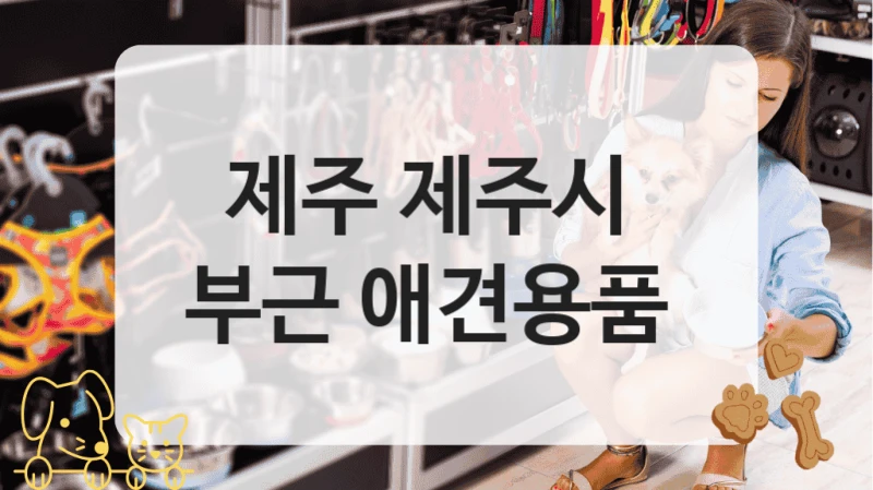 제주 제주시 
부근 애견용품