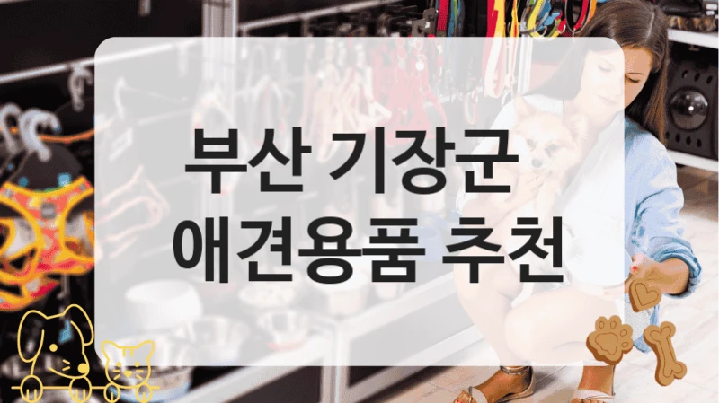 부산 기장군 
 애견용품 추천