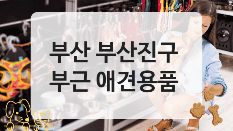 부산 부산진구 
부근 애견용품