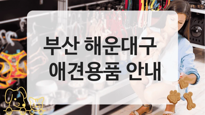 부산 해운대구 
 애견용품 안내