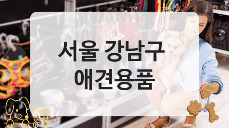 서울 강남구 
 애견용품