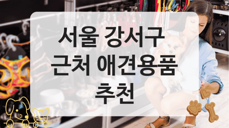 강서구 애견인들 사이 유명한 펫 애견용품 스토어 소개 안내