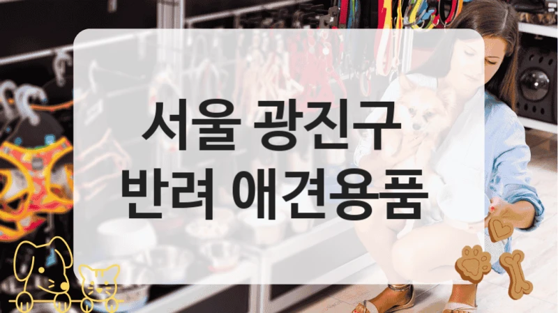광진구 펫과 함께 방문하기 좋은 애견용품샵 추천 정보