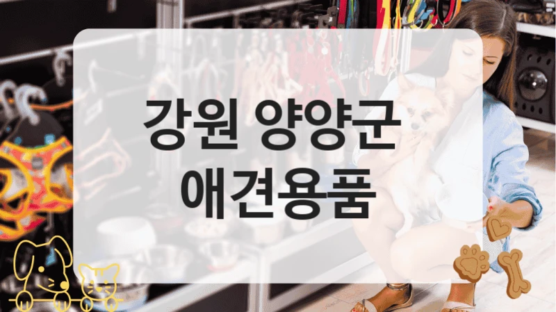 양양군 반려동물 용품 인기 많은 전문점 안내